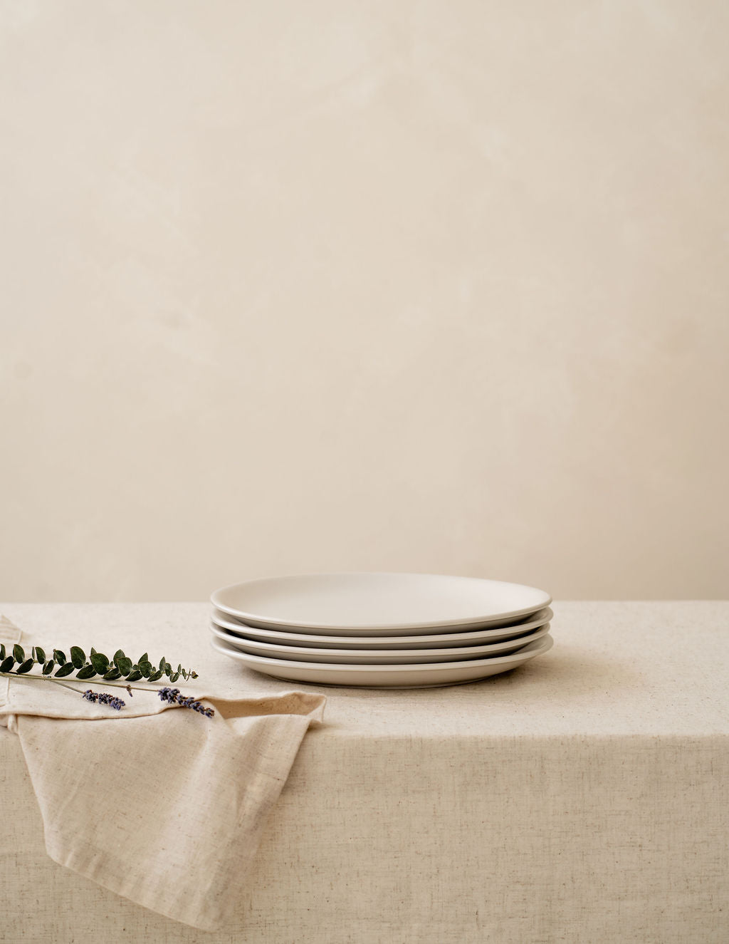 Dinner Plates (Set of 4)
