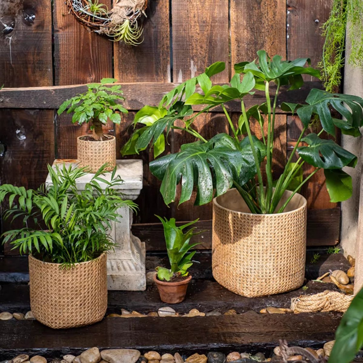 Rattan Cement Planter