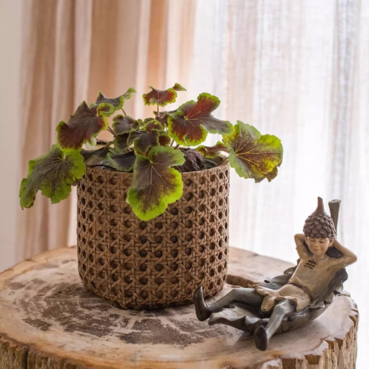 Rattan Cement Planter
