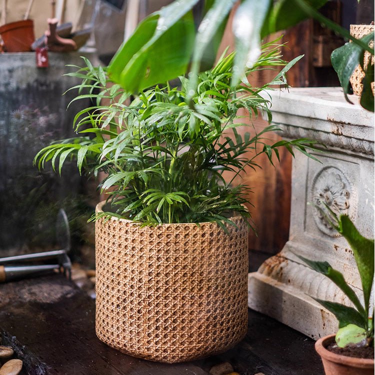 Rattan Cement Planter