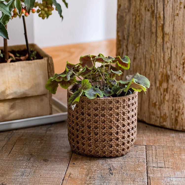 Rattan Cement Planter